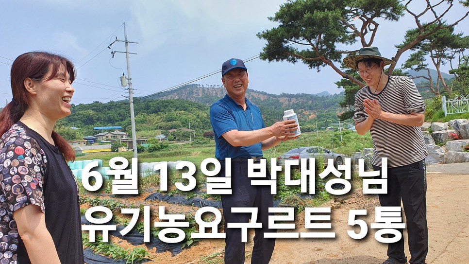 [서경인] 6월 둘째주 희망을 파는 사람들 나눔&봉사소식 / 희파 자원봉사 