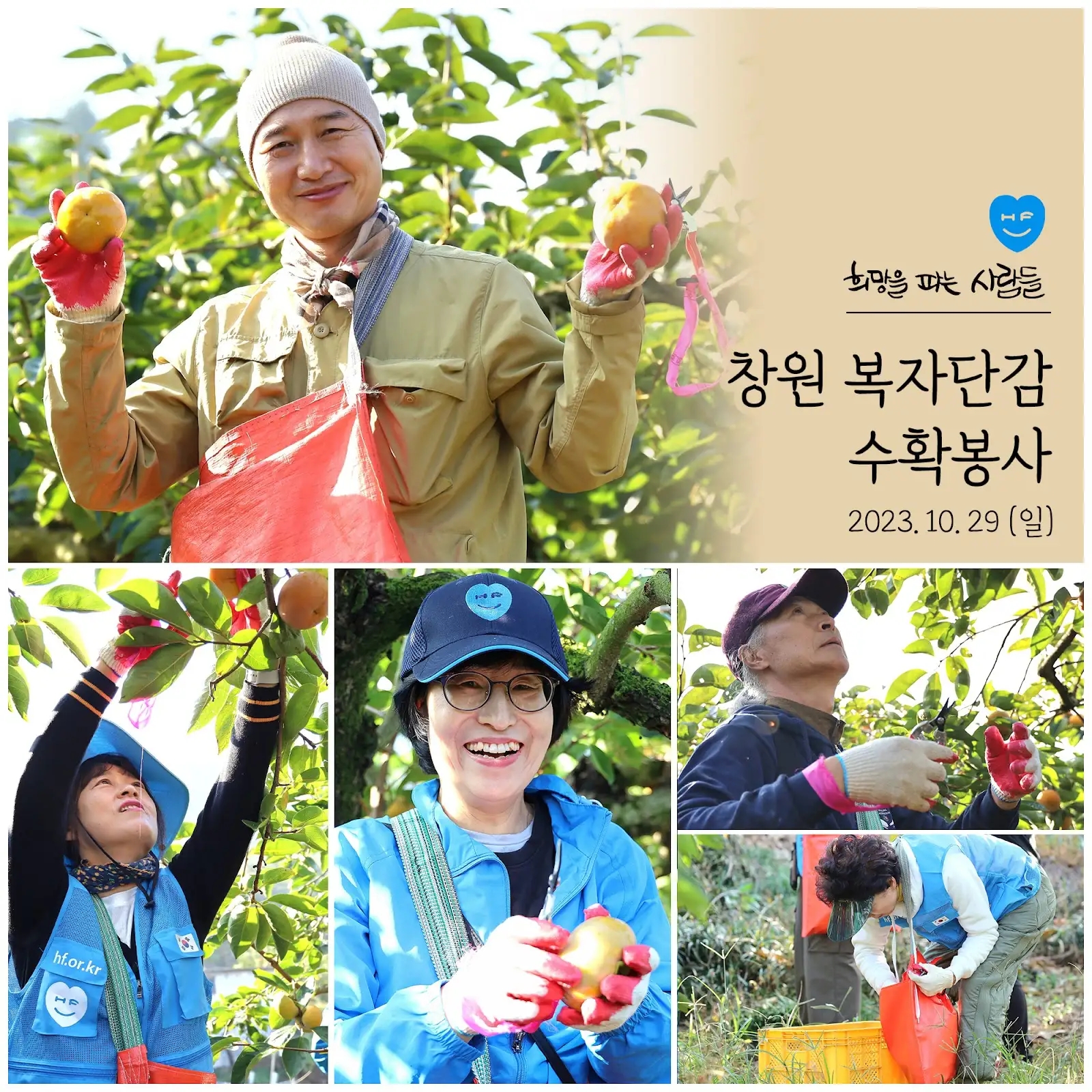[부울경] 소외계층에 희망을 전하는 단감수확봉사 현장 